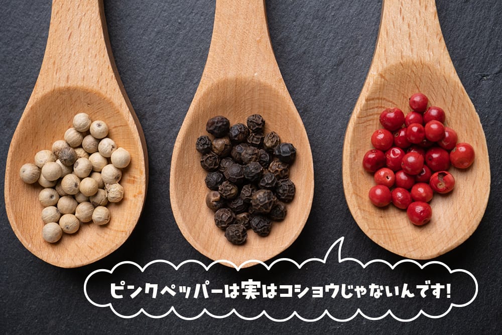 ペッパーツリー （ピンクペッパー）4号 実生ポット苗 : 苗木部 花
