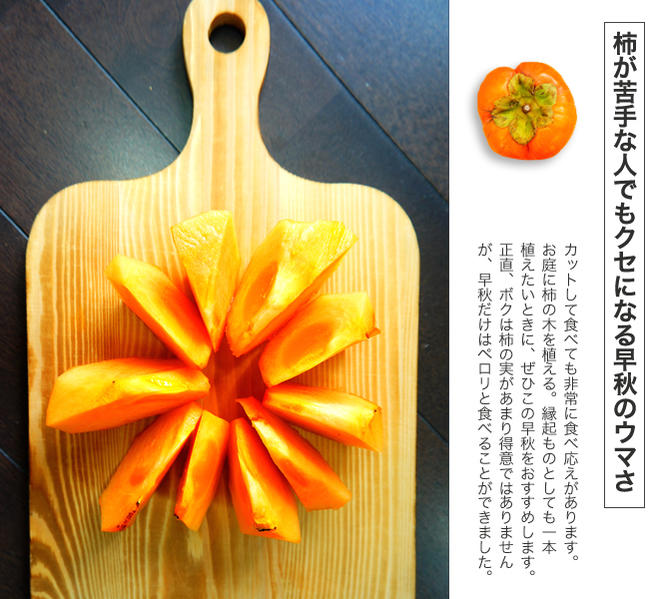 柿の苗木 早秋柿 完全甘柿 3年生接木大苗 1m苗 産地で剪定済 1.1m苗