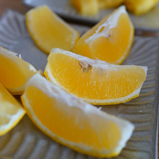 レモンの木 スイートレモネード 3年生接木大苗 産地で剪定済 1.0m苗