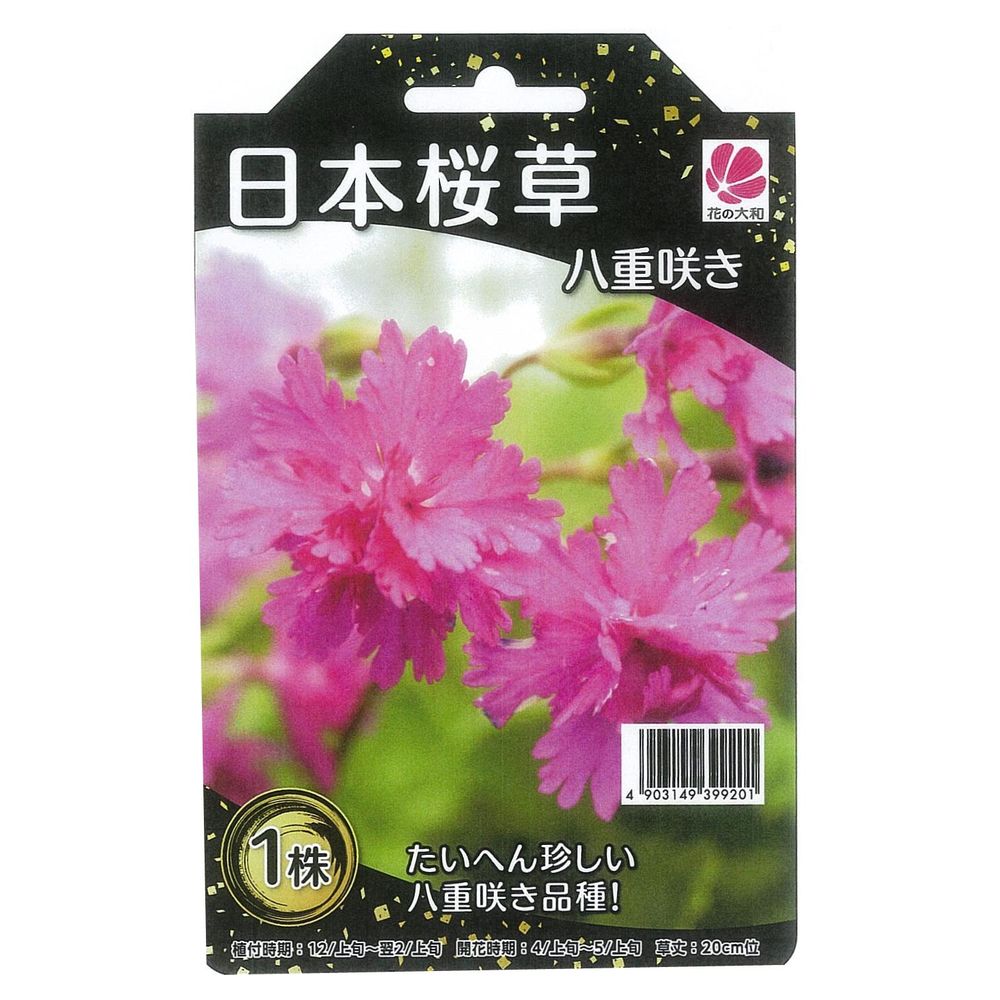 日本桜草 八重咲き 袋詰め宿根草 （1株入） （植え付け時期2月上旬まで