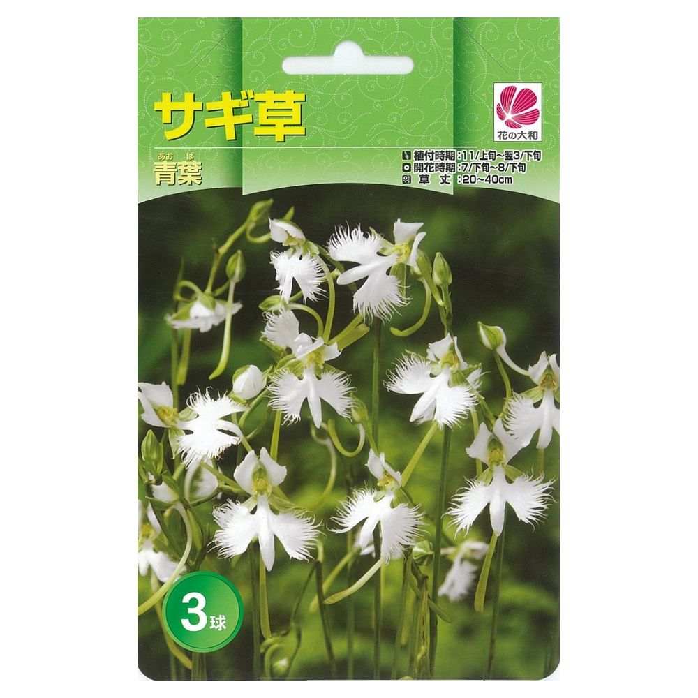 斑入り。サギソウ。100本苗 楽天市場】サギソウ 原種(青葉) 3号鉢（） : 千草園芸