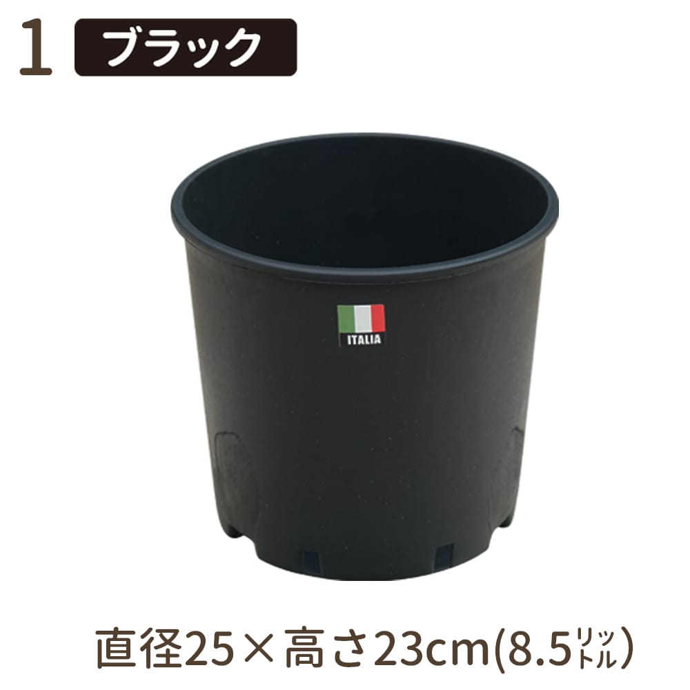 shizai_25h23-rf-b.jpg