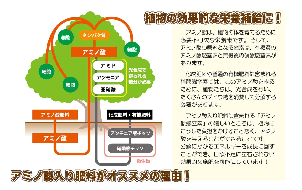 高級感 トラスコ ４５°両口めがねレンチ ２７Ｘ３０ｍｍ 1丁 品番：TRM-2730 discoversvg.com