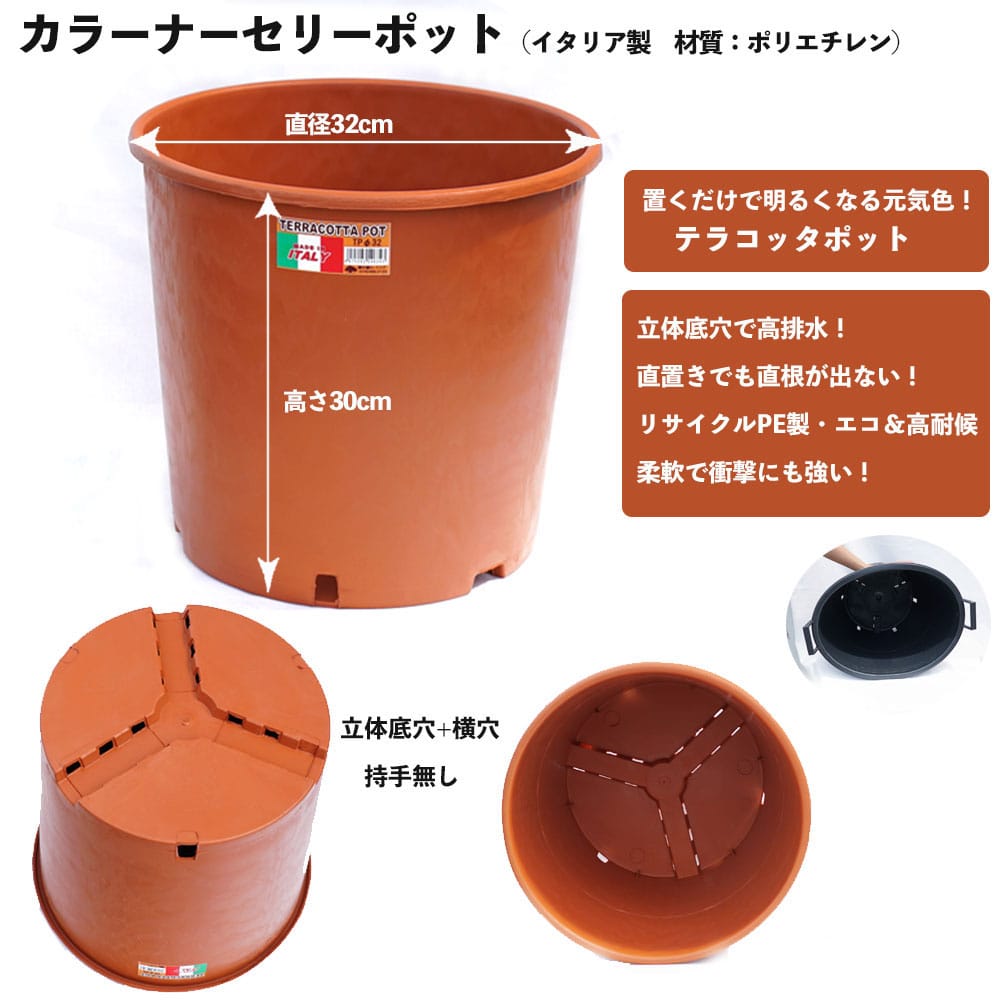 shizai_imgrc0101993043.jpg
