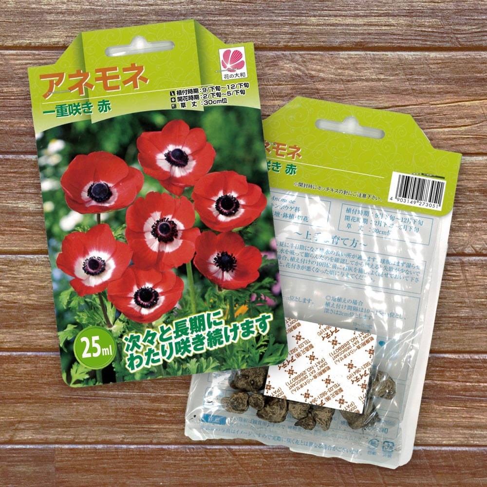 sonota5_anemone-003_01.jpg
