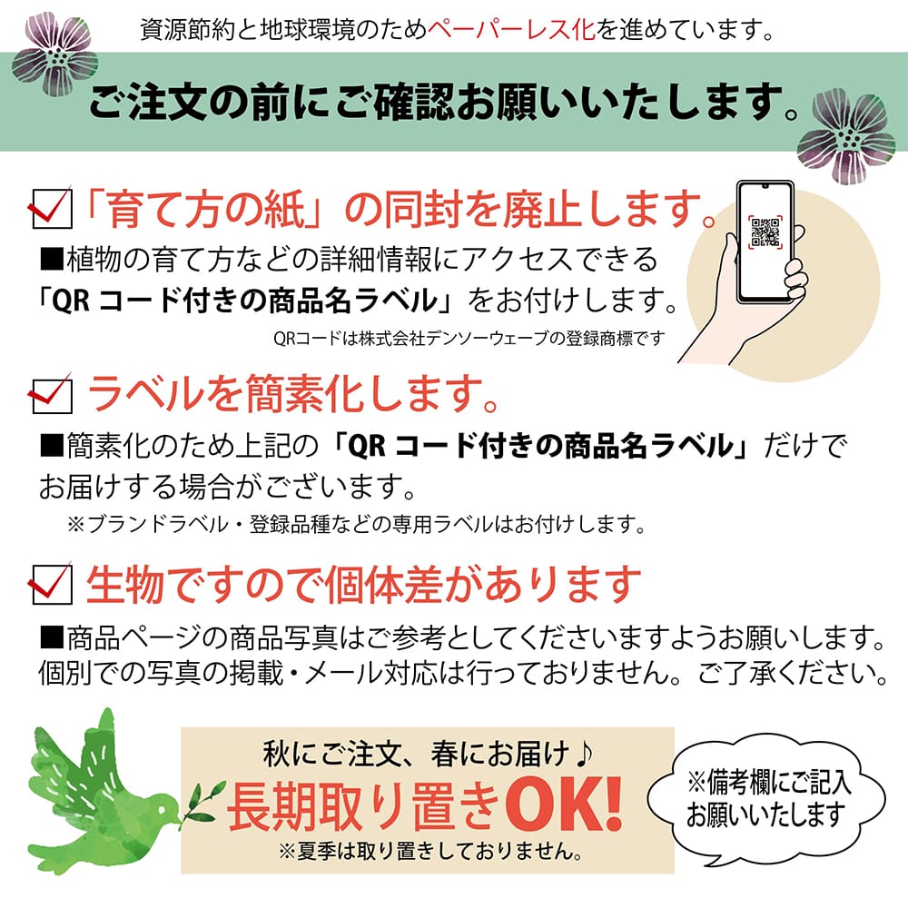 デラウェア ぶどう 3年生接木1.1m大苗 ウィルスフリー 産地で剪定済 1.1m苗 : budou-derawea-w-3-s : 苗木部  花ひろばオンライン - 通販 - Yahoo!ショッピング