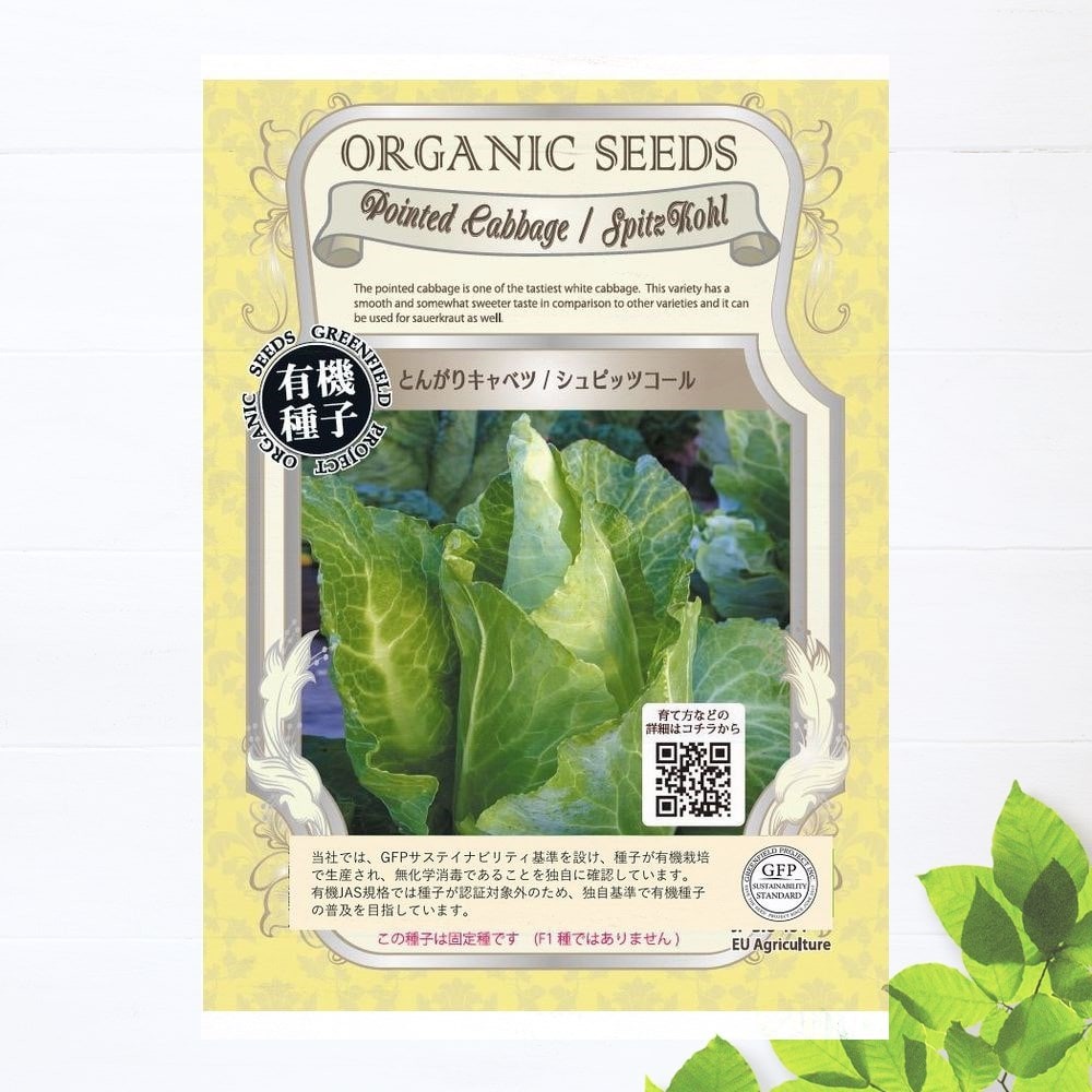 有機種子 キャベツ/とんがりキャベツ/シュピッツコール Sサイズ 60粒