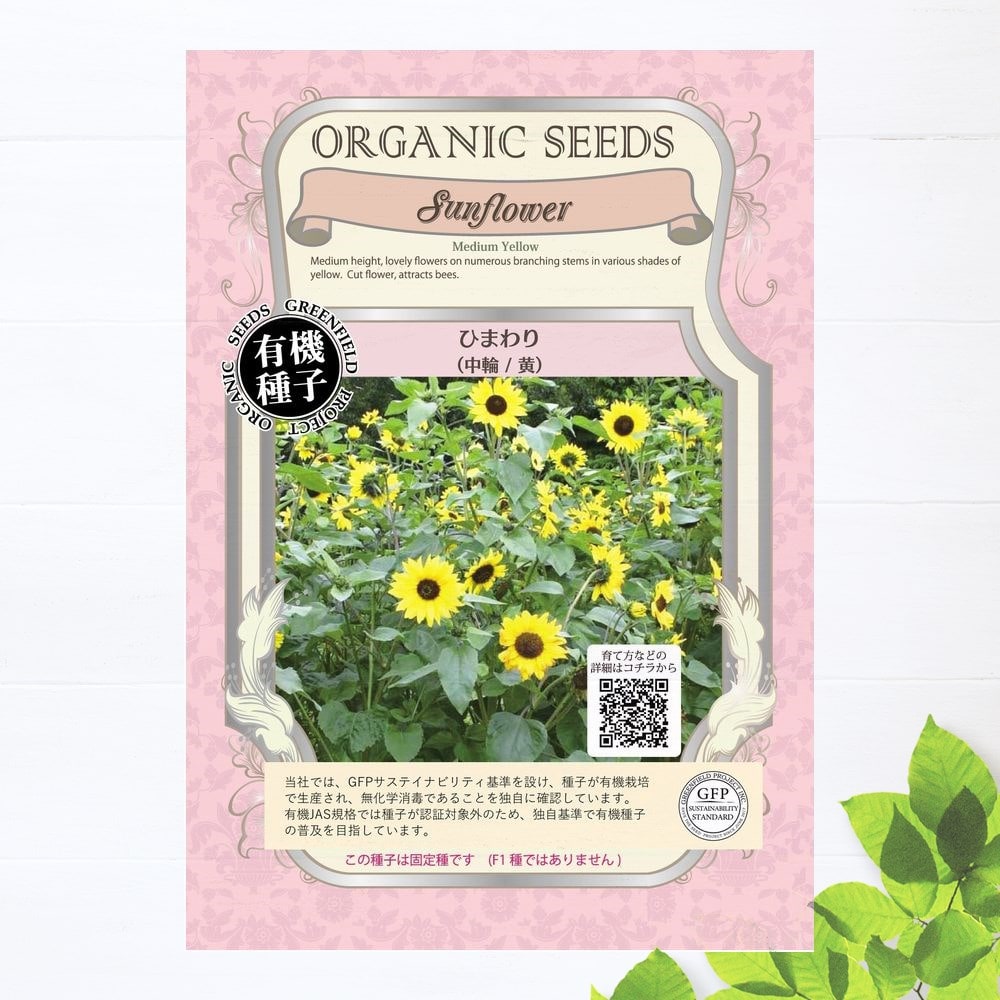 有機種子 ひまわり/中輪/黄 Sサイズ 60粒 種蒔時期 4〜6月 爆買いweek