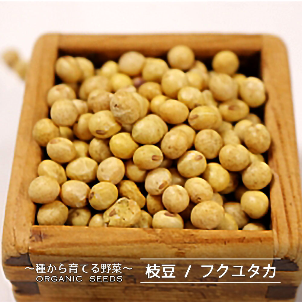 有機種子 枝豆/大豆/フクユタカ Sサイズ 70粒 種蒔時期 6〜7月 :tane-edamame-fukuyutaka001:苗木部  花ひろばオンライン - 通販 - Yahoo!ショッピング