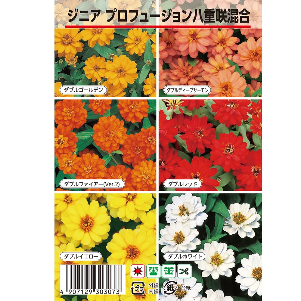 ジニア プロフュージョン 八重咲混合 1袋 約25粒 （種蒔時期 4月〜7月