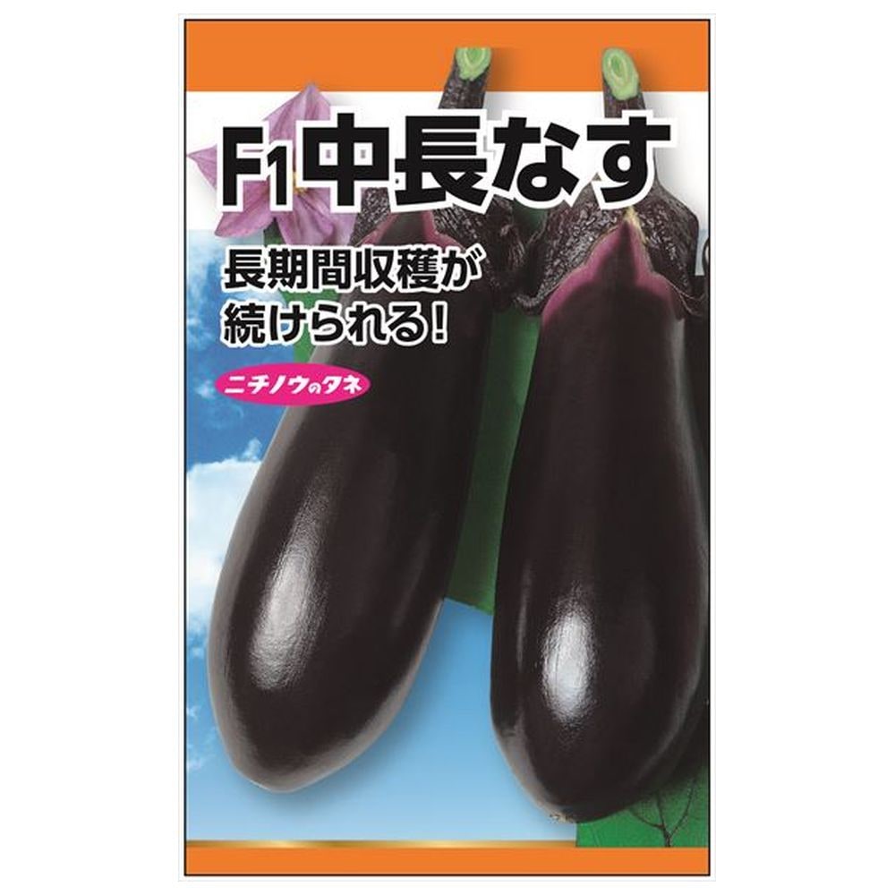 なす F1中長なす 種・小袋 （2ml） 爆買いweek : 苗木部 花ひろば
