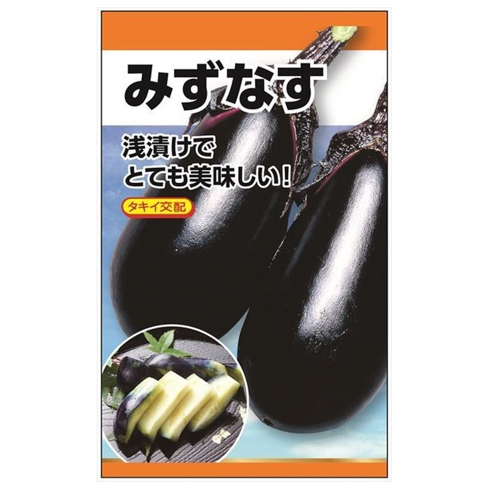 なす みずなす タキイ交配 種・小袋 （0.4ml） F1（一代交配種） 爆