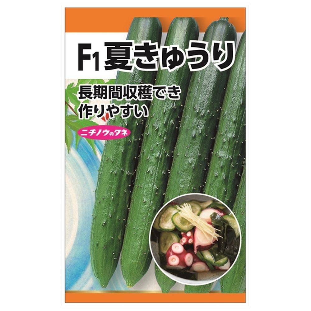 F1夏きゅうり 種・小袋 （2ml） 爆買いweek : 苗木部 花ひろば