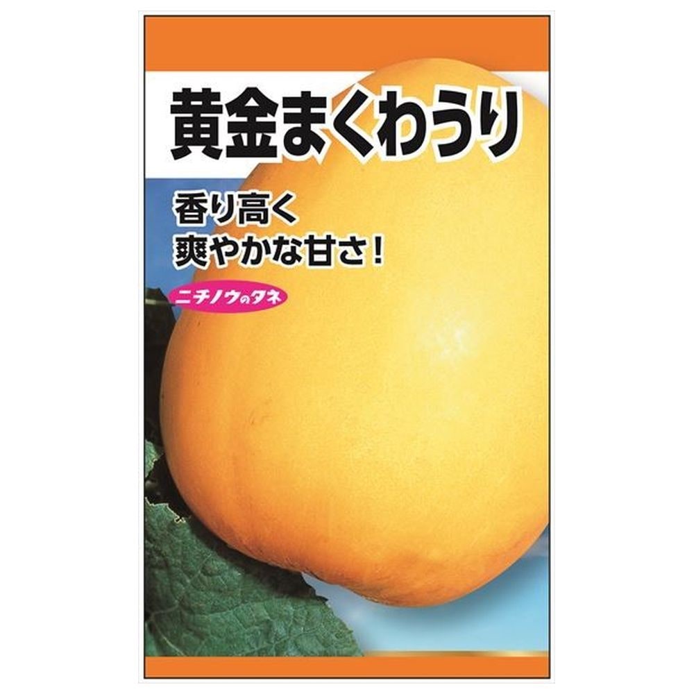 メロン 黄金まくわうり 種・小袋 （2ml） 固定種 : tanex-0030