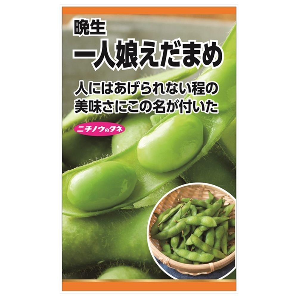 えばたまこと とれたて たまねぎ 知育玩具 木のおもちゃ GENI