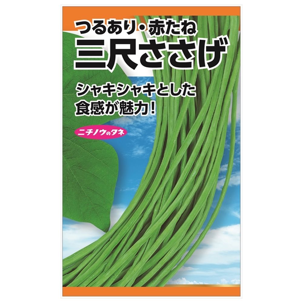 ささげ 三尺ささげ 種・小袋 （8ml） 固定種 : 苗木部 花ひろば