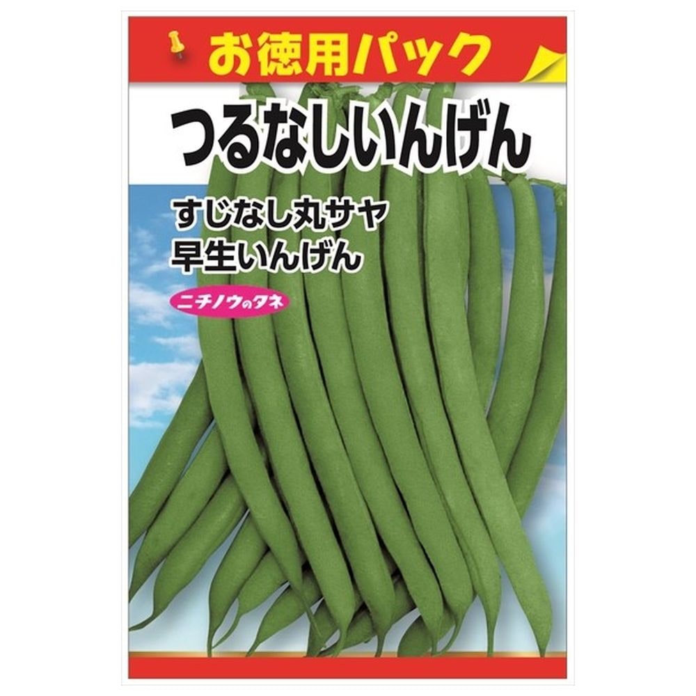 いんげん つるなしいんげん(お徳用パック) 種・小袋 (90粒 いんげん つるなしいんげん(お徳用パック) 種・小袋 (90粒