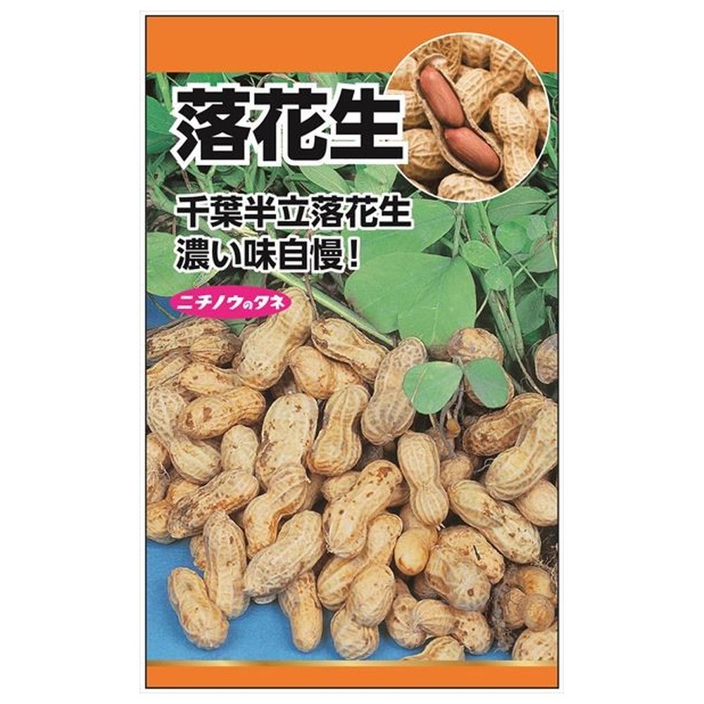 落花生(ピーナッツ) 種・小袋 （10粒） 固定種 爆買いweek : 苗木部 花