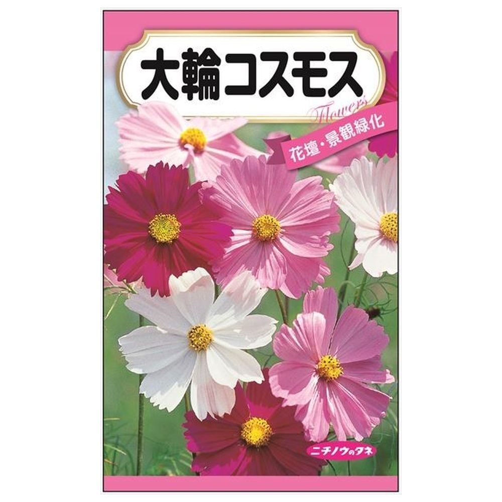 大輪コスモス 種・小袋 （1.5ml） 固定種 爆買 : 苗木部 花ひろば