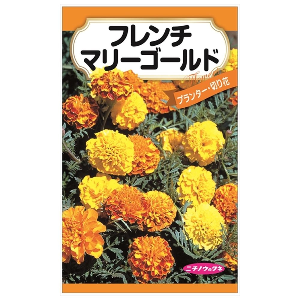 フレンチマリーゴールド 種・小袋 （0.2g） 固定種 爆買いweek : 苗木