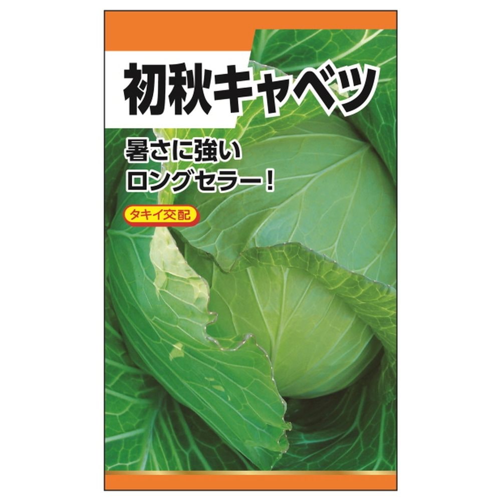 コート種子 キャベツ TCA-422 タキイ交配 コート種子 キャベツ TCA-422 タキイ交配