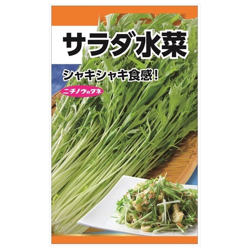 水菜商品 サラダ水菜 種・小袋 （10ml） 固定種 爆買いweek : 苗木部 花ひろば