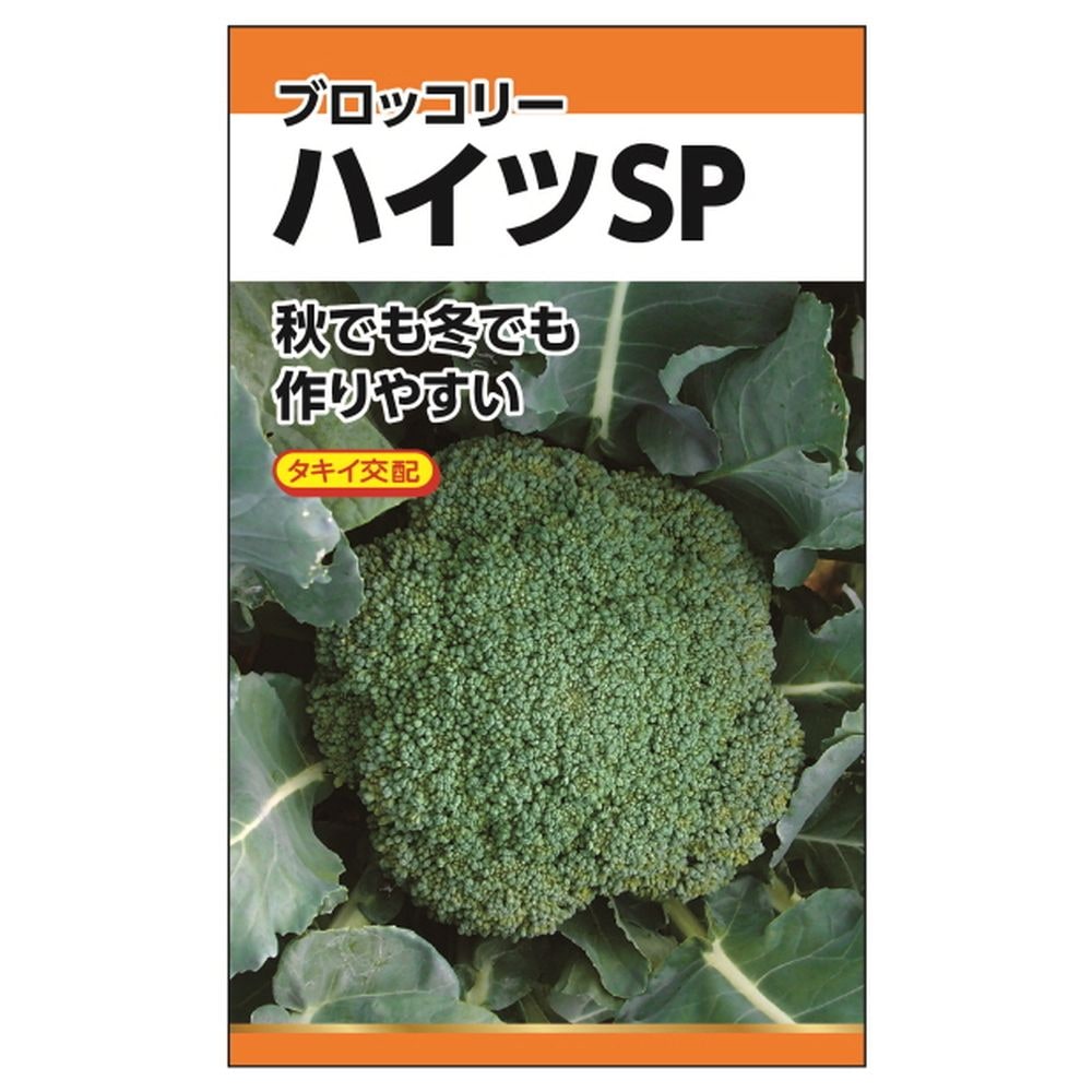 タキイ交配 ハイツSP(ブロッコリー) 種・小袋 （0.2ml） :tanex-0197:苗木部 花ひろばオンライン 通販  