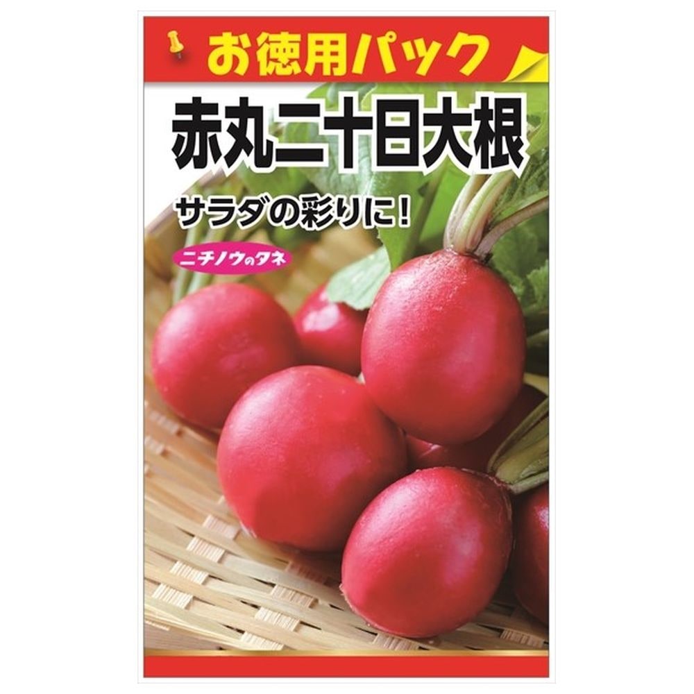 大根 15個セット ラディッシュ 赤丸二十日大根(お徳用パック) 種・小袋 （15ml） 固定種