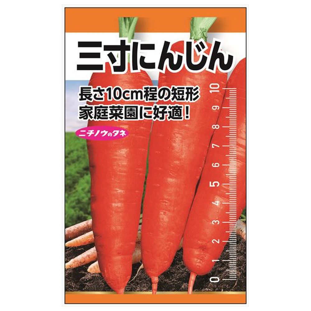 にんじん 三寸にんじん 種・小袋 （6ml） 固定種 爆買いweek : 苗木部