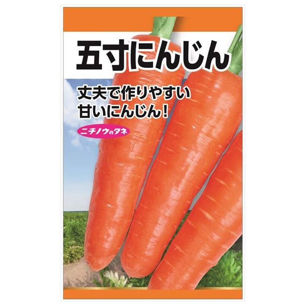 にんじん 五寸にんじん 種・小袋 （8ml） 固定種 : 苗木部 花ひろば