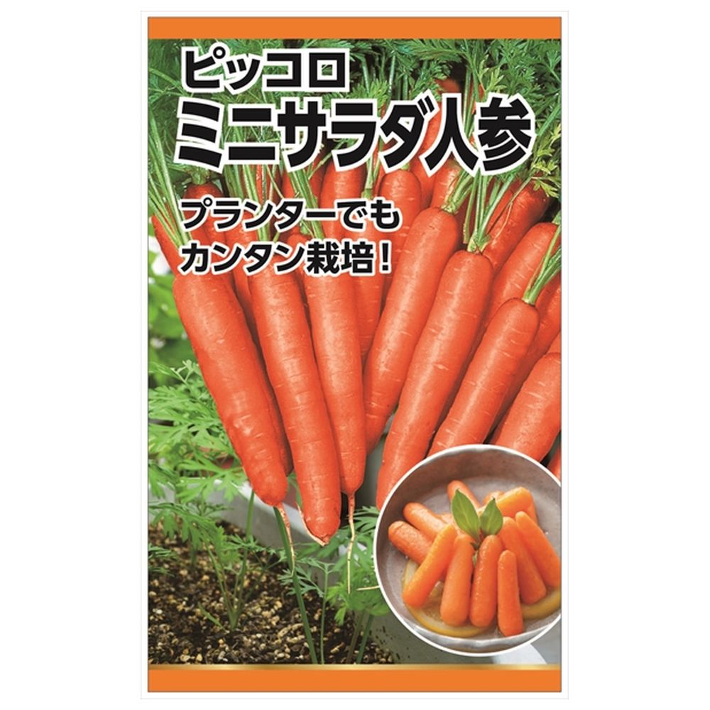 にんじん ミニサラダ人参(ピッコロ) 種・小袋 （3ml） 固定種 : 苗木部