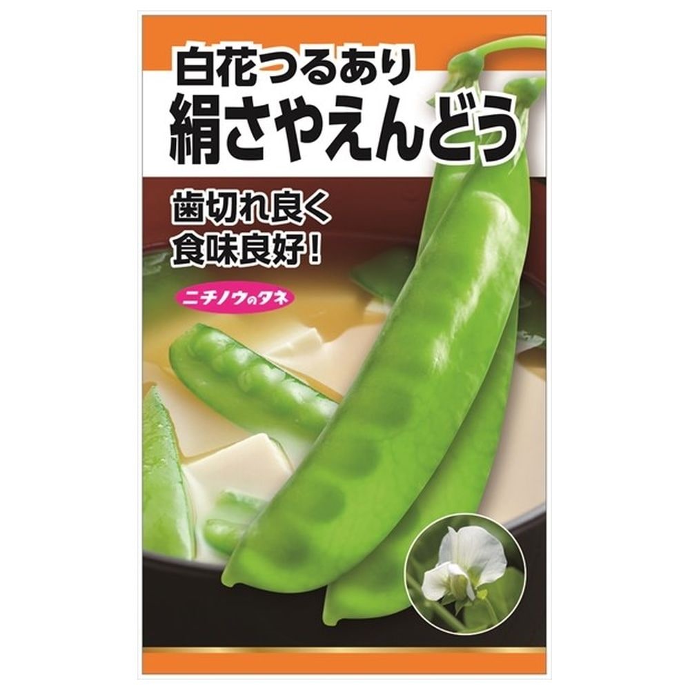 えんどう 絹莢えんどう(つるあり・白花) 種・小袋 （20ml） 固定種 爆