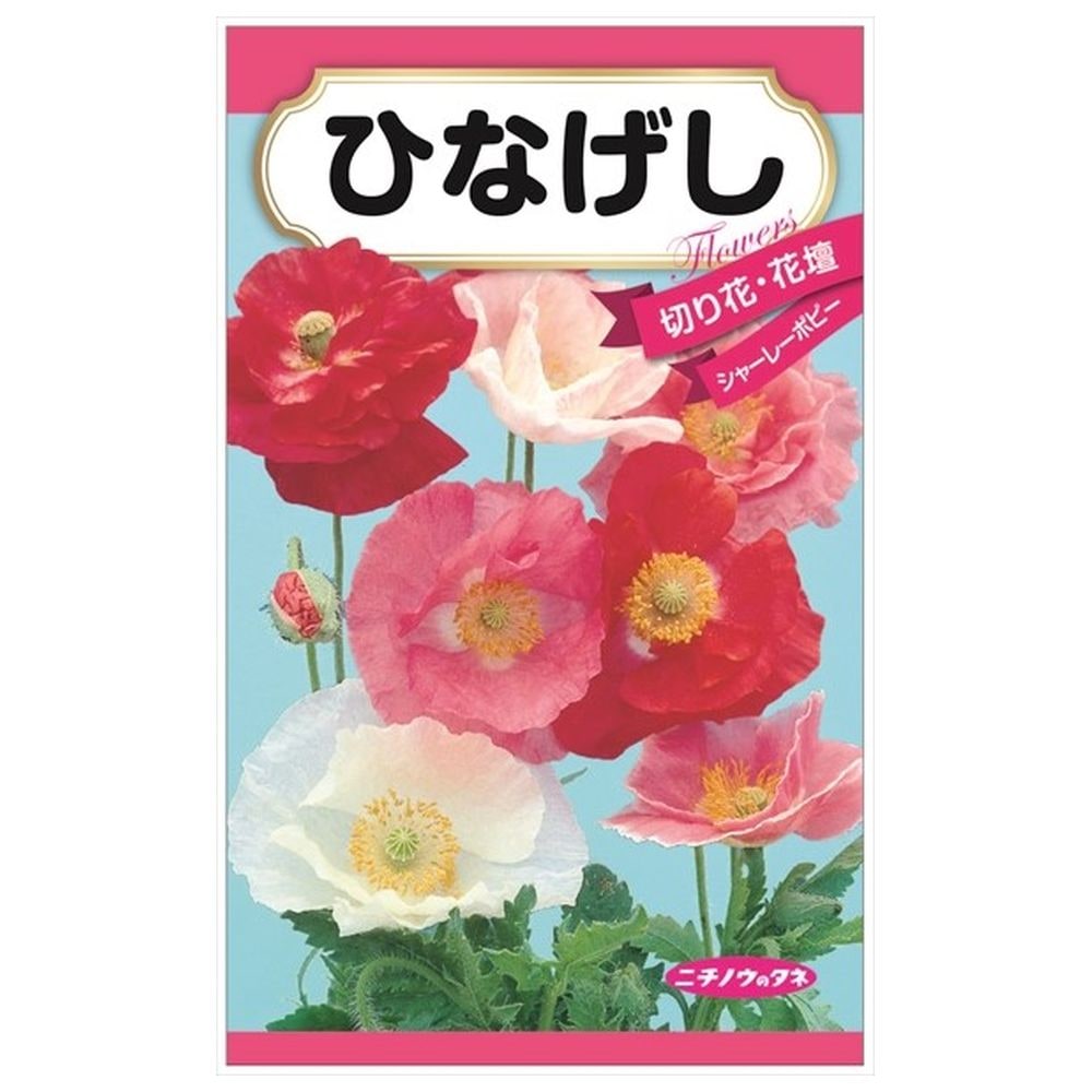 ひなげし 種・小袋 （0.5ml） 固定種 : 苗木部 花ひろばオンライン