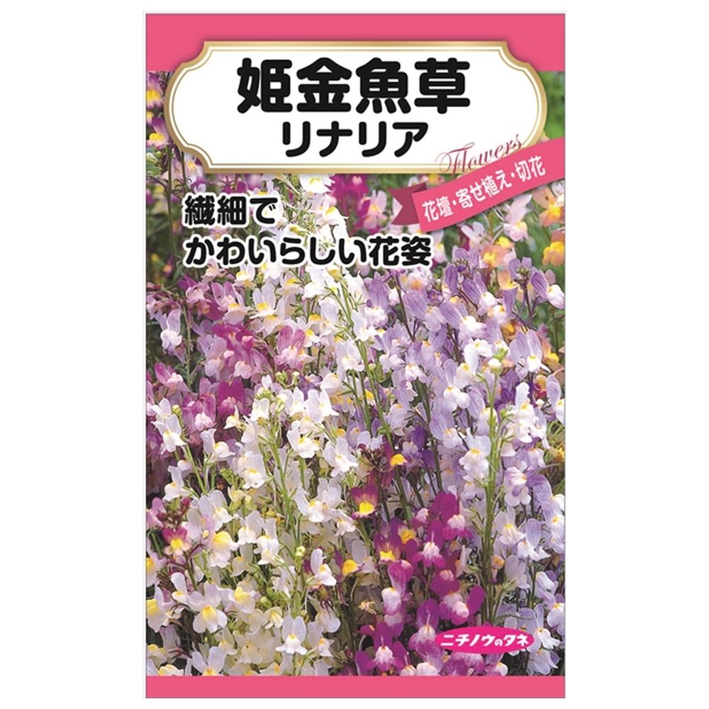 リナリア （姫金魚草） 種・小袋 （0.3ml） 固定種 爆買いweek : 苗木 