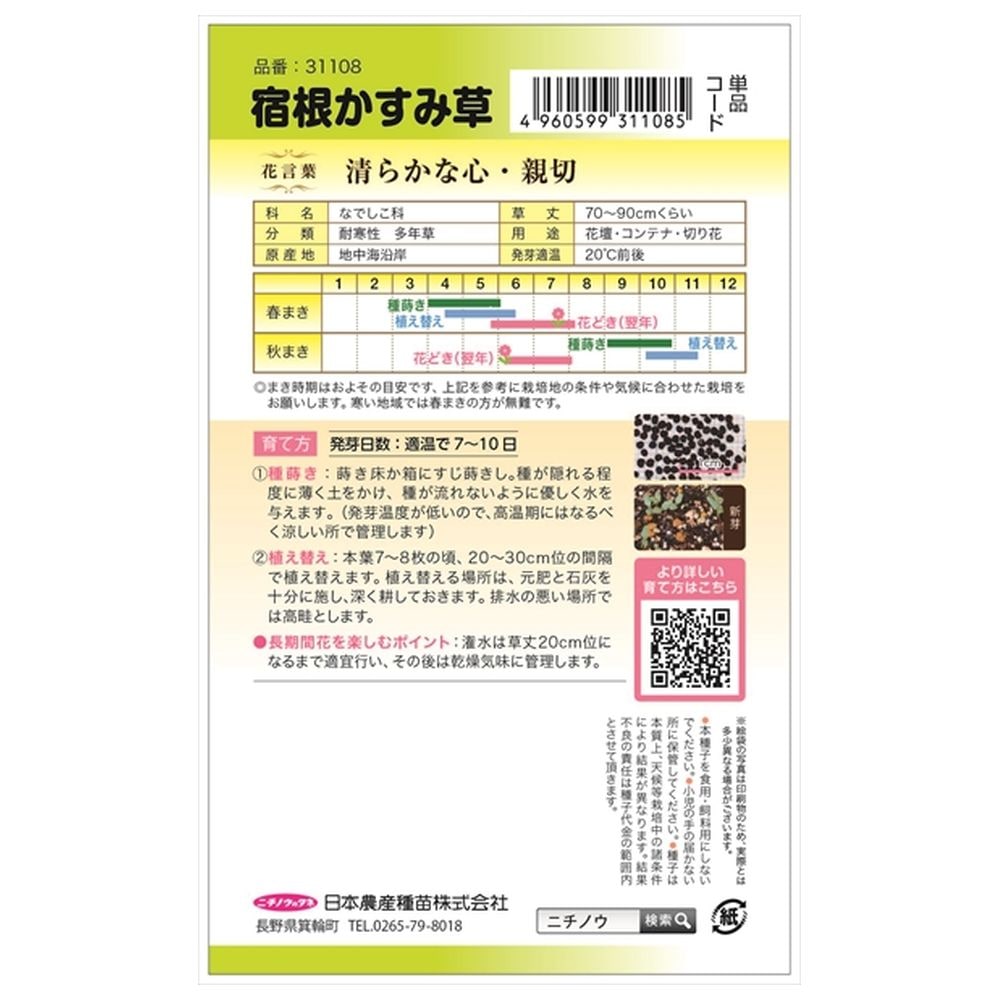 宿根かすみ草 種・小袋 （0.2ml） F1（一代交配種） 爆買いweek : 苗木