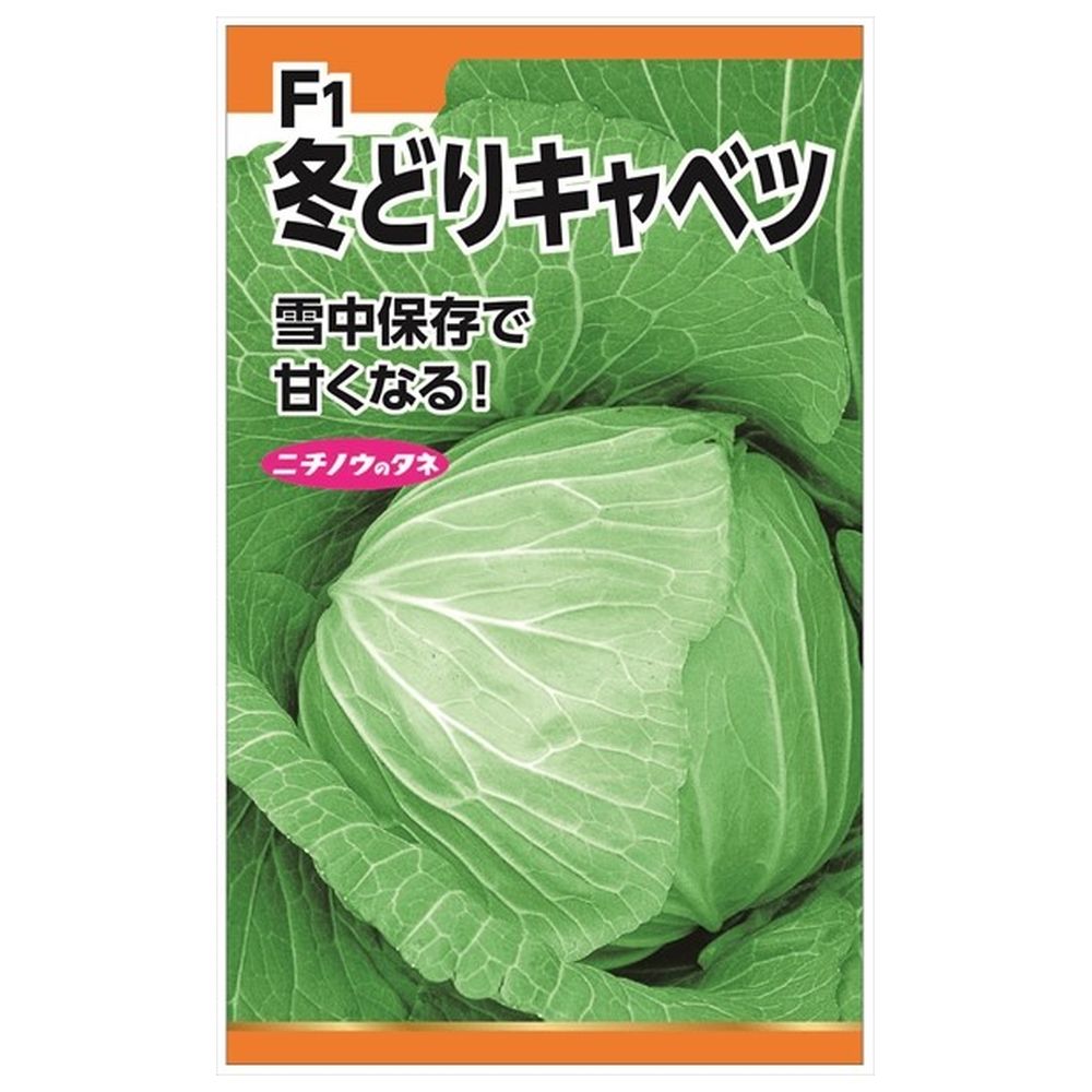 キャベツ F1冬どりキャベツ 種・小袋 （1.5ml） : 苗木部 花ひろば