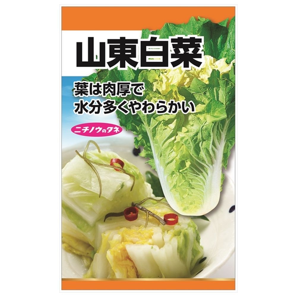 白菜　種 白菜 山東白菜 種・小袋 （10ml） 固定種 : 苗木部 花ひろばオンライン