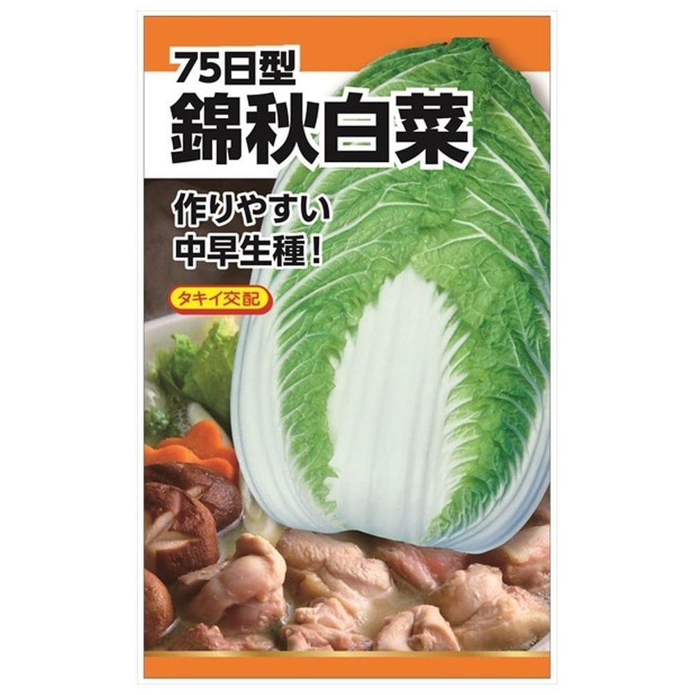 専用　新生姜1キロ、白菜、人参適量 新生姜 4kg」の人気商品一覧 | 安い商品を通販サイトから探す