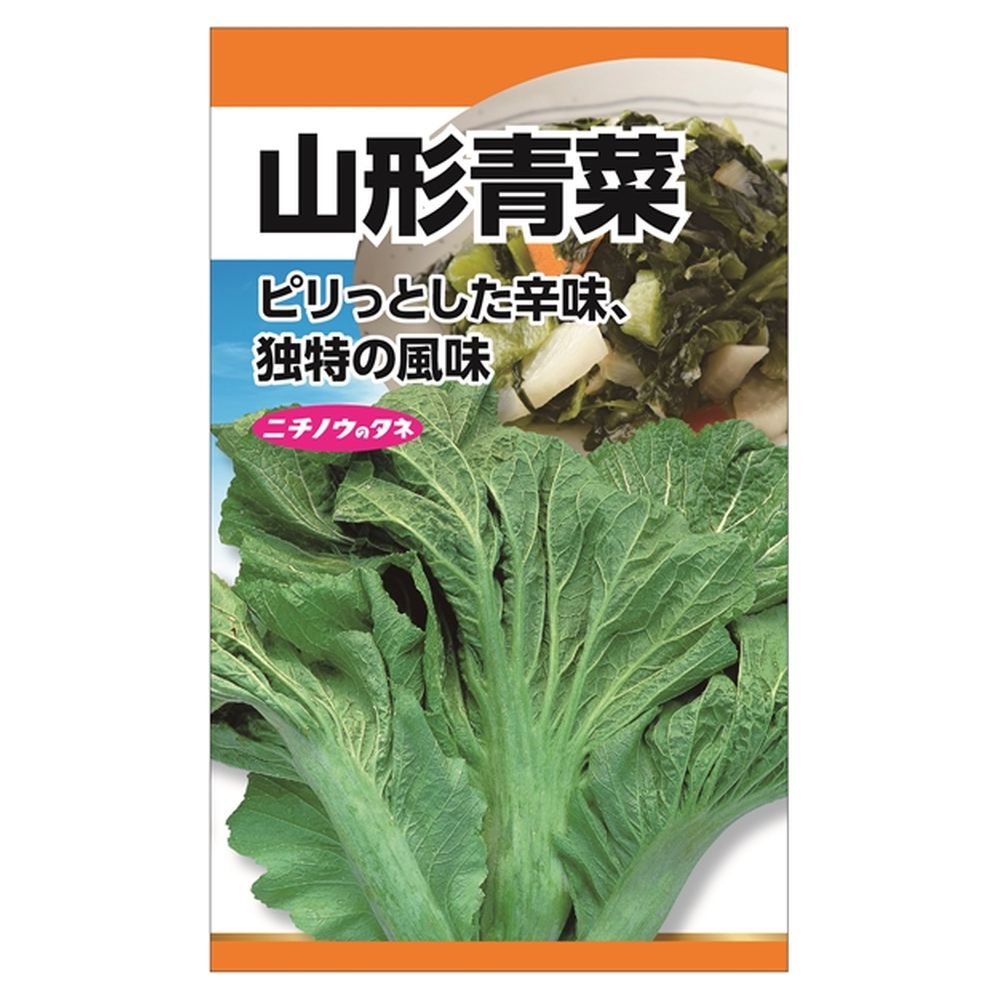 山形青菜(清国せいさい) 種・小袋 （6ml） 固定種 : 苗木部 花ひろば