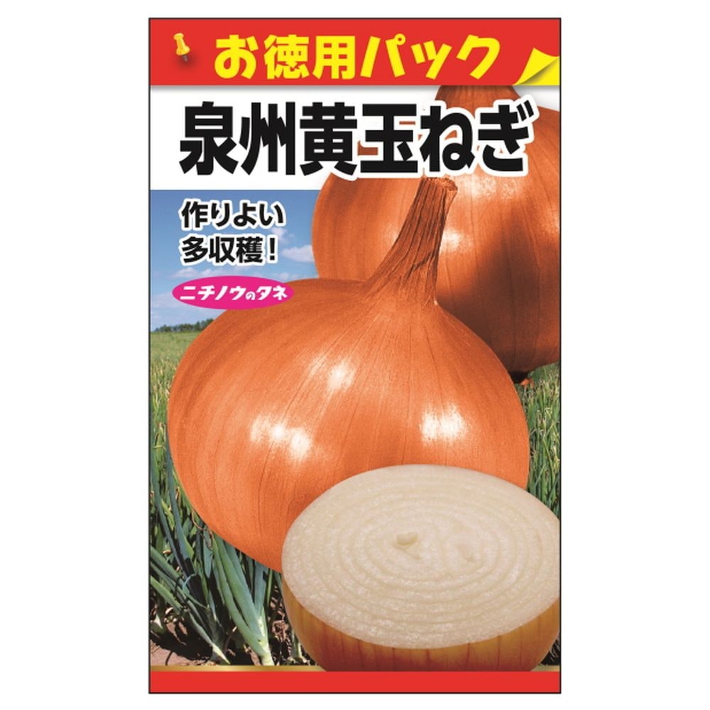 説明欄必読】11月1日発送開始 玉ねぎ苗泉州250本おまけ10本 【公式通販】
