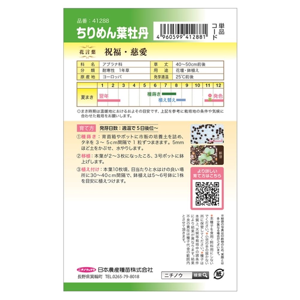 安全安全ちりめん葉牡丹 種・小袋 （0.5ml） 花