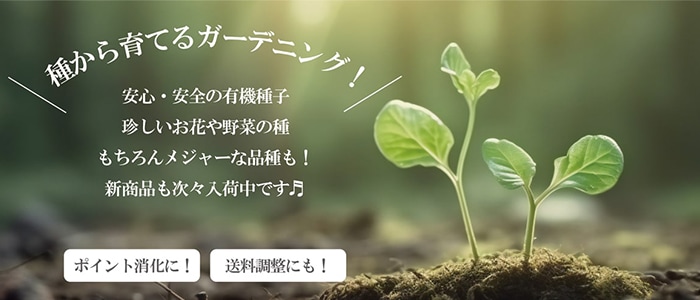ベニはるか芋苗200本セール - メルカリ