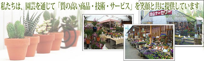 植物・園芸専門店 花育通販Yahoo!店 ヘッダー画像