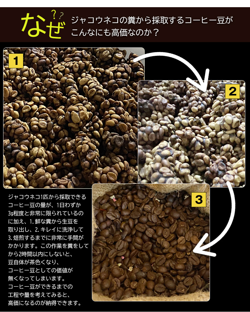 ジャコウネココーヒー 100g シベットコーヒー コピルアク 100