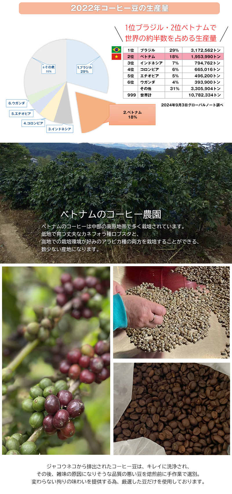 ジャコウネココーヒー コピルアク アラビカ種 カペ・アラミド コーヒー