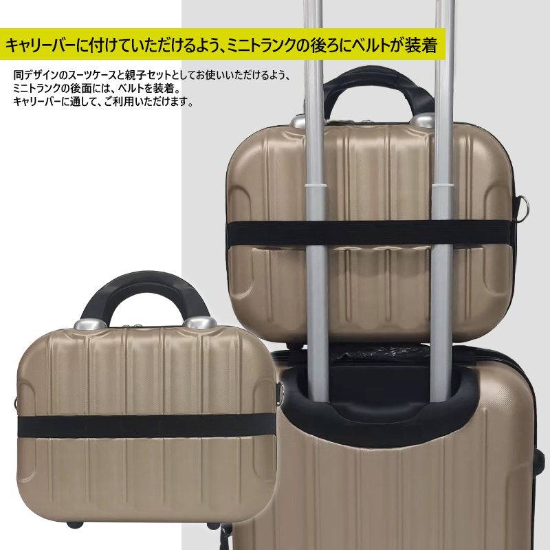 Transporter ミニトランク コンパクト キャリーオンケース