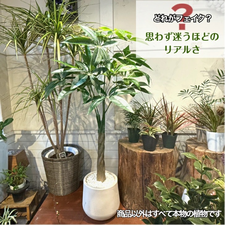 パキラ 人工観葉植物 フェイクグリーン 観葉植物 フェイク 大型 造花