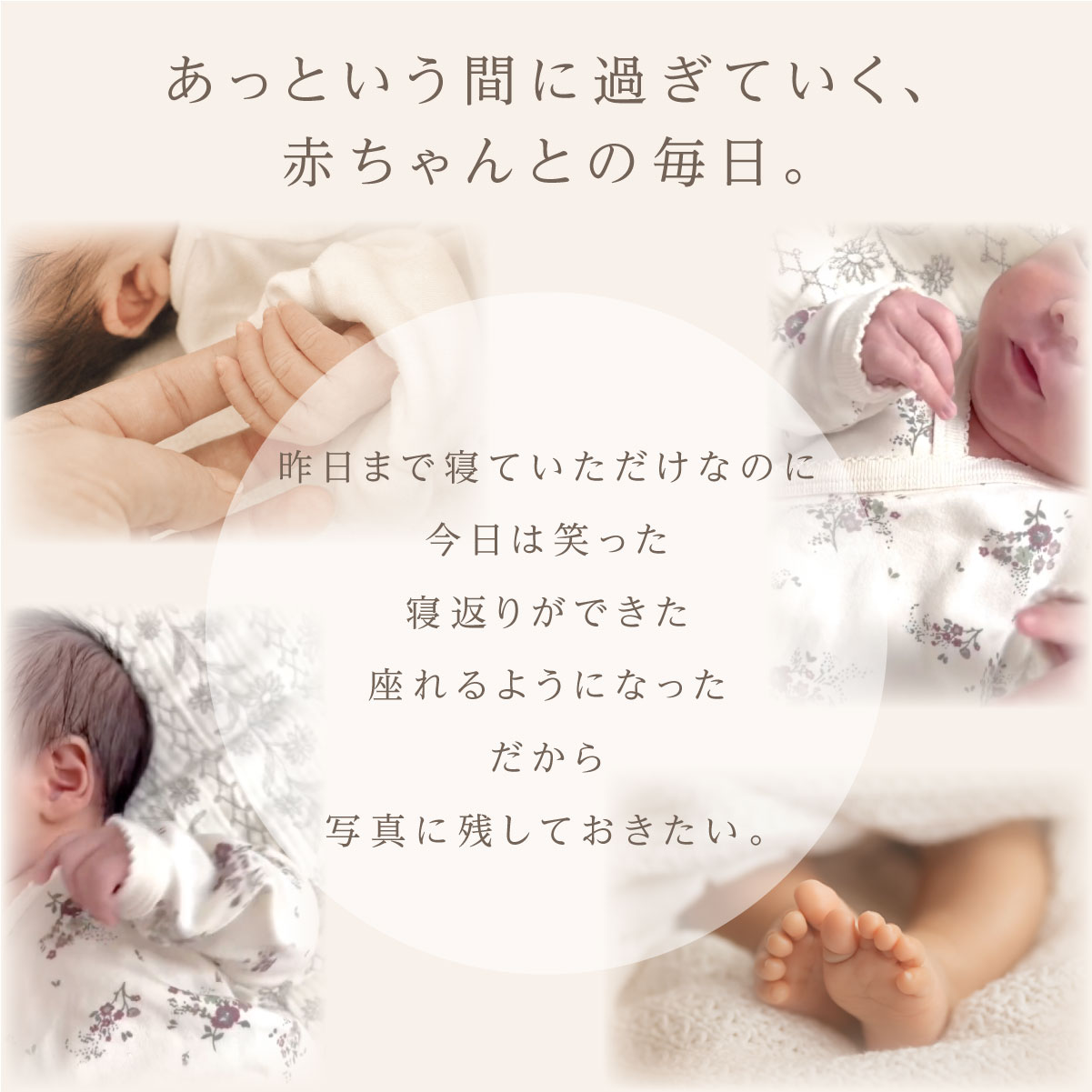 �}���X���[�J�[�h ����J�[�h �z�� 15���Z�b�g Just Born �j���[�{�[���t�H�g 100�� �n�[�t�o�[�X�f�[ �R�b�g�����l�� �o�Y�j�� ������� �֘A�摜1