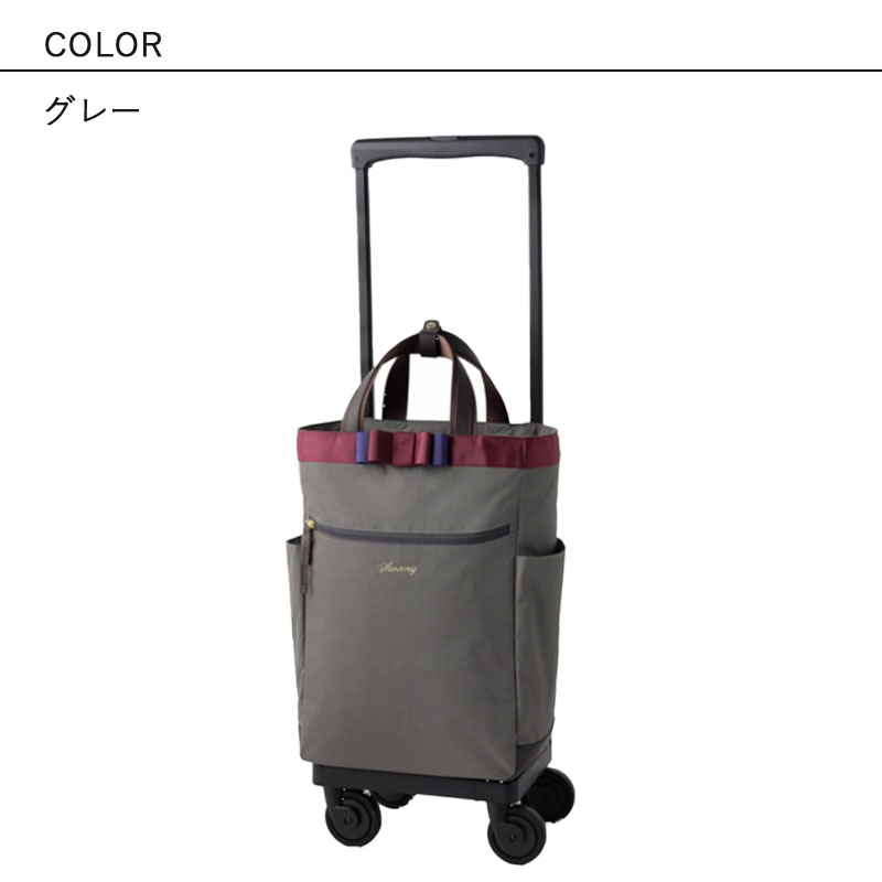 ★ほぼ新品★ SWANY スワニー D-640 ルバンド L21サイズ ブラック SWANY（キャリーバック） スワニー キャリーバッグ SWANY 新型 D
