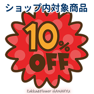 ショップ内対象商品 10％OFF 【Zakka&Flower HANAKYU】 - 通販